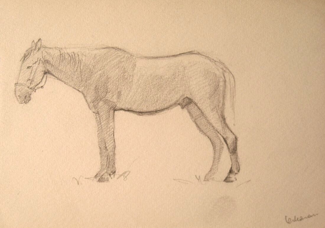 “Hobune”