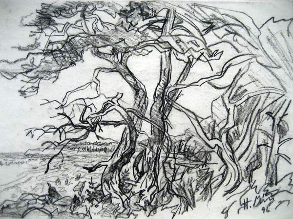 "Rannamännid", 1996
