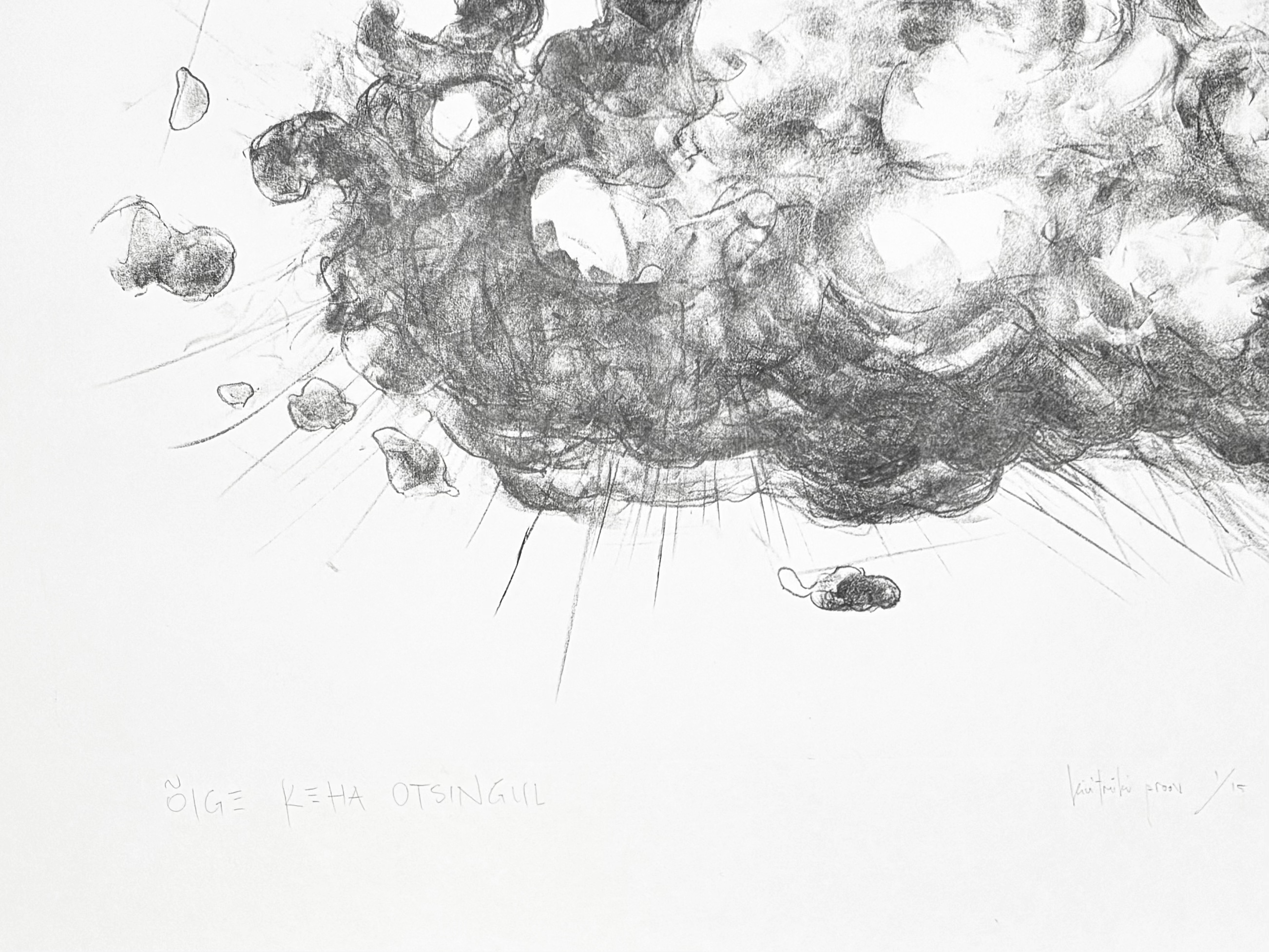 "Õige keha otsinguil", 2025 - Image 2