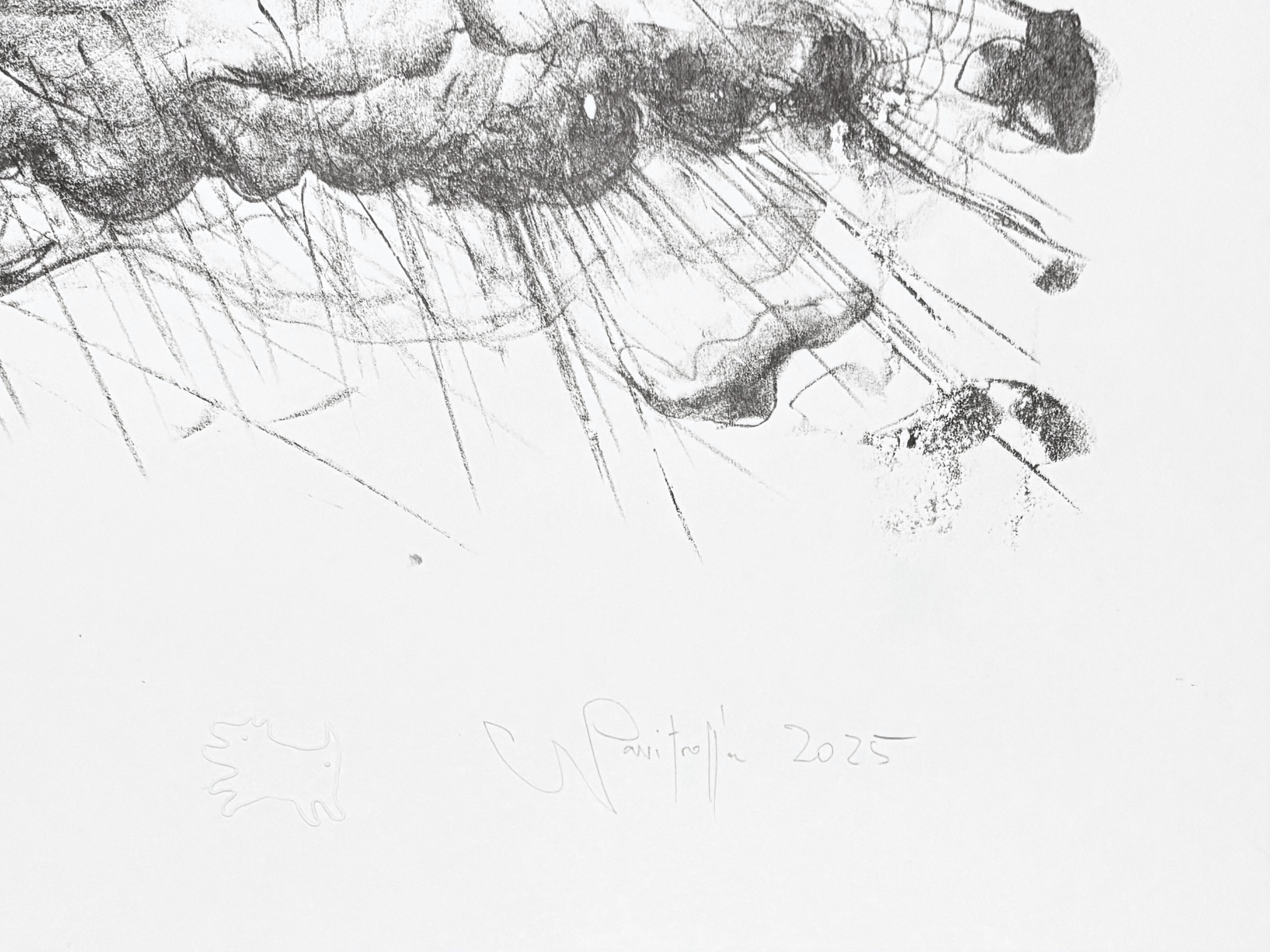 NAVITROLLA Eesti Kunst Graafika Litograafia Sümbolism Kaasaegne kunst